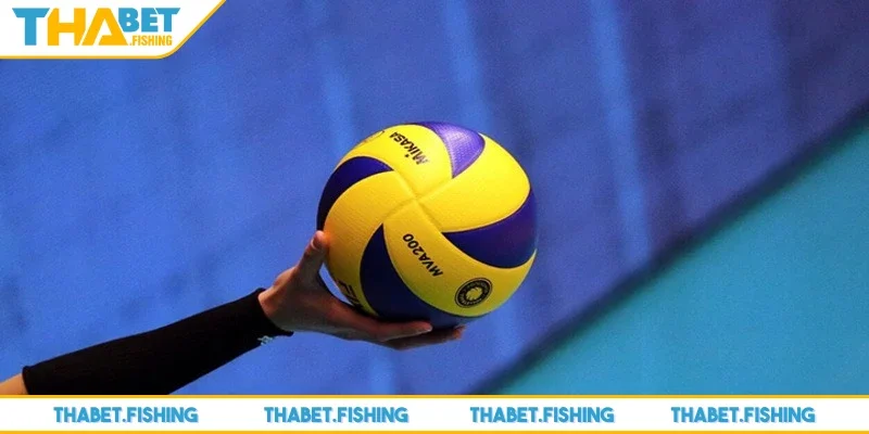 Cá cược bóng chuyền - Bộ môn giải trí xanh chín nhất 3 Cá độ bóng chuyền có các quy tắc chính mà thành viên cần ghi nhớ