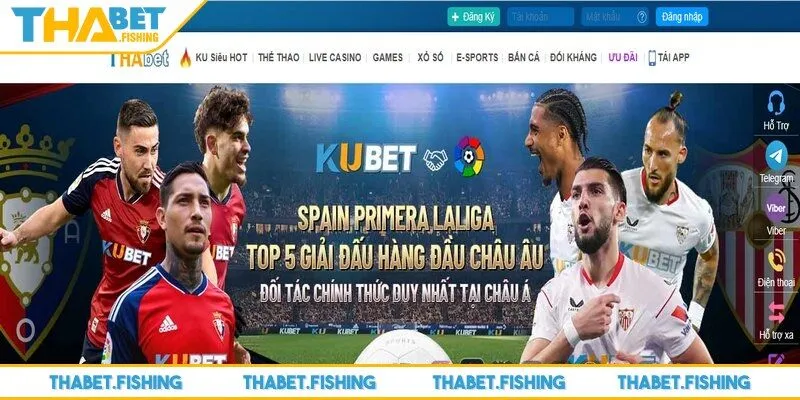 Đăng ký THABET 3 Tìm hiểu một số lỗi thường gặp để tránh sai sót khi tiến hành đăng ký THABET