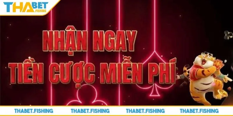 KM đăng ký mới 3 Anh em phải tuân thủ theo hướng dẫn từ nhân viên nhà cái