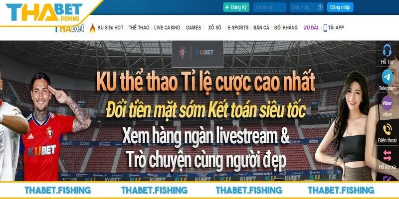 Trang chủ 35 Những thắc mắc xoay quanh việc trải nghiệm đều được THABET giải đáp chi tiết