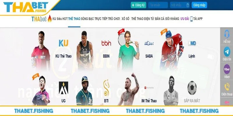 Thể thao THABET 3 THABET hợp tác cùng nhà cung cấp uy tín mang đến nhiều sản phẩm chất lượng